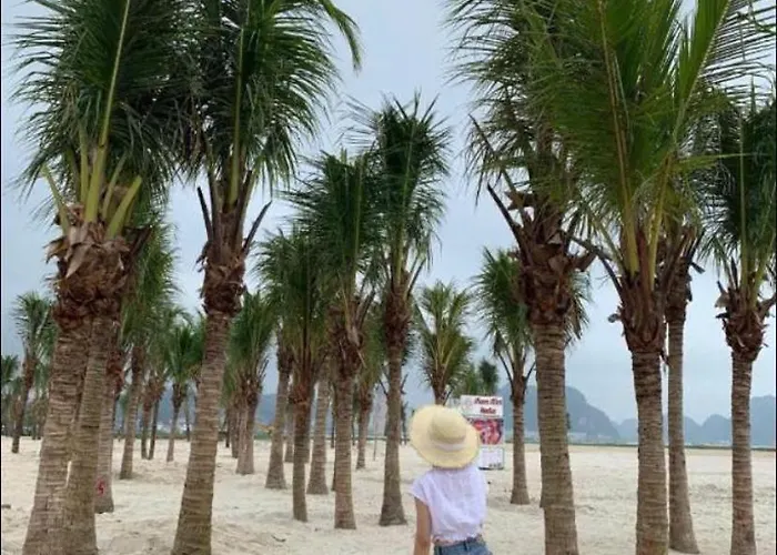 Blue Wave Hotel Hạ Long
